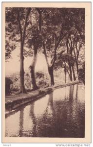 Algérie Miliana - Les belles sources