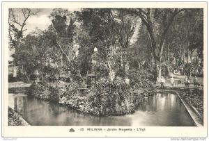 CPA , Algérie , Miliana , Le Jardin Magenta , l'Ilot , Animation