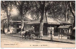 CPA..MILIANA...LE  MARCHE ...PRIX 2,99 �