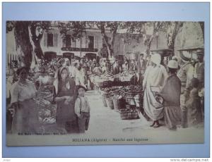 MILIANA  (Algérie)    Marché  aux  LEGUMES