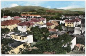 ALGERIE - MILIANA - Vue Générale des Villas Quartier Nord