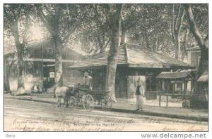 ALGERIE CPA MILIANA LE MARCHE  CHARETTE ANIMATION ECRITE TB