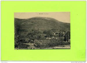 Afrique - Algérie - Miliana - le Zaccar