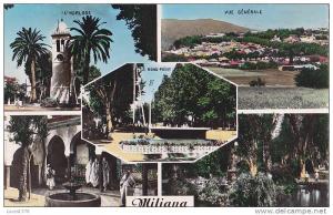 MILIANA  MULTIVUES - Horloge - mosquée - jardin Magenta - Rond-Point