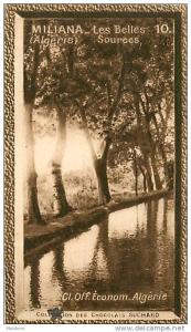 S2  ALGERIE  MILIANA   10 x 6 cm  (cliché de O.E.. )