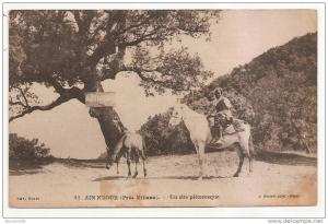 ain n'sour (près miliana) -(cpa) -12- un site pittoresque  (1 homme à cheval,1 âne) -belle carte