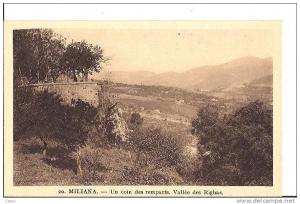 MILIANA - Un cion des remparts. Vallée des Righas.