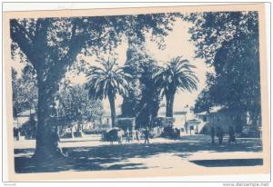 CPA  -   33. MILIANA  -  La Place et l'Horloge Monumentale