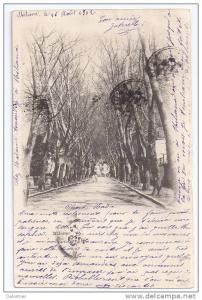 CPA Miliana Algérie écrite timbrée 1902 dos non divisé