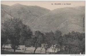 MILIANA.....LE ZACCAR .....cpa 9x14