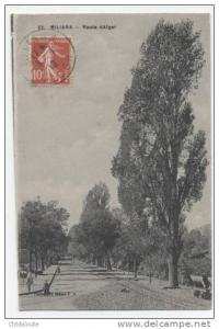 AFRIQUE  /  ALGERIE   /    MILIANA  / VUE GENERALE     CPA  9X14