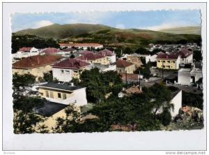 cpsm MILIANA vue generale des villas du quartier nord - ed maison du paier 419 H