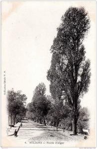 MILIANA   Route d´ Alger