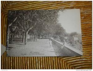 Miliana la Pointe des Blagueurs