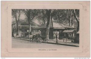 CPA MILIANA LE MARCHE