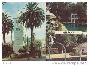 ALGERIA - AK 56435 Miliana