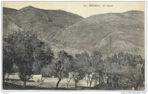 ALGERIE . MILIANA  LE  ZACCAR