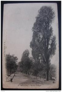 CPA MILIANA - Route d'Alger