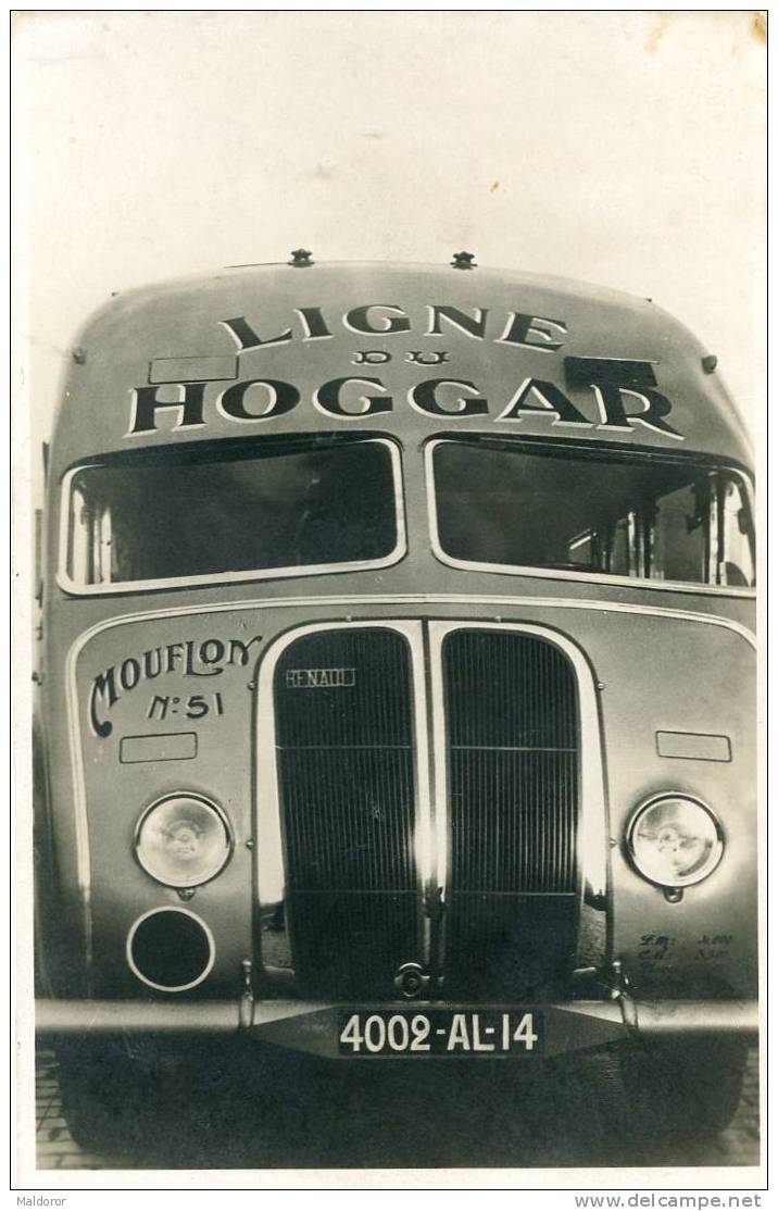 alger  SAHARA  LIGNE  DU  HOGGAR   CARTE PHOTO  CAR RENAULT  PULLMAN  SOCIETE MOUFLON  algérienne des transports
