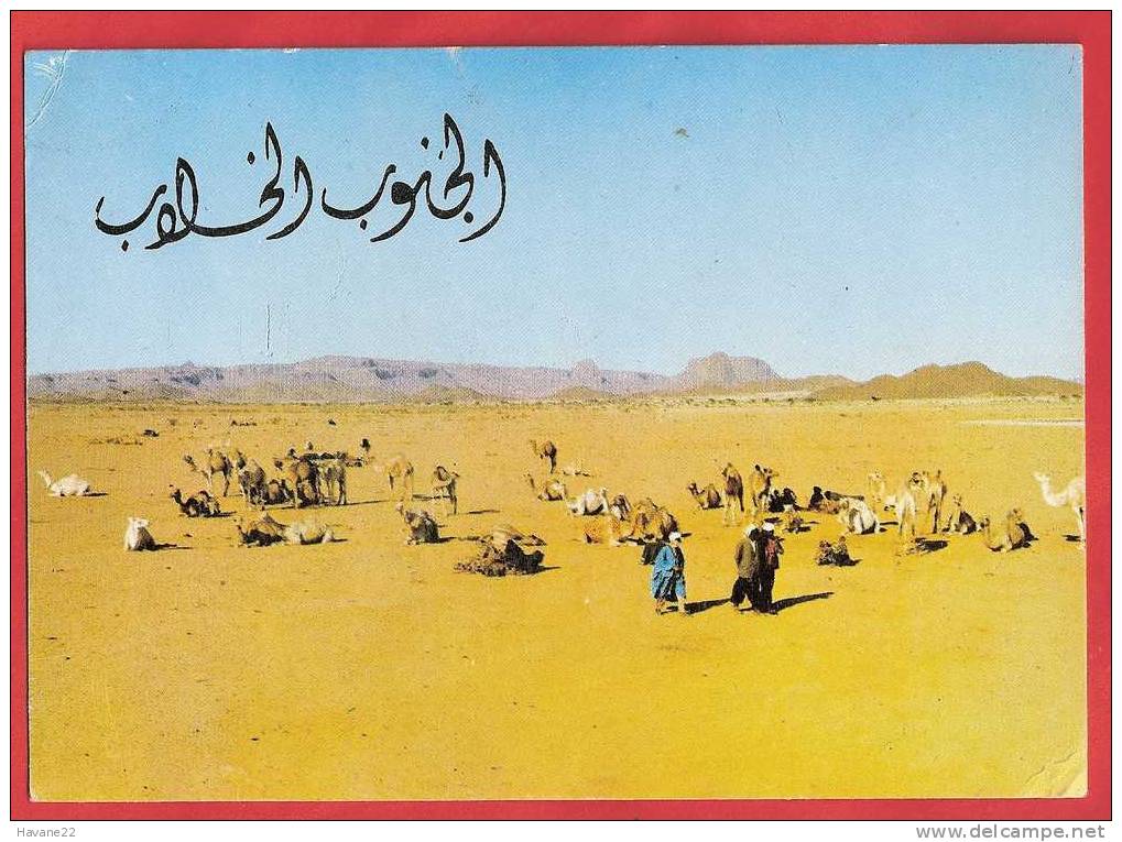 I240 ALGERIE LE HOGGAR