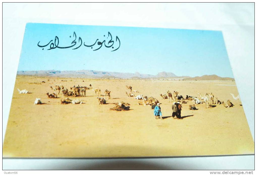 CPSM TLEMCEN (ALGERIE) - Le Hoggar