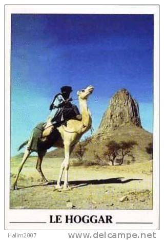 LE HOGGAR  Sahara Algérie