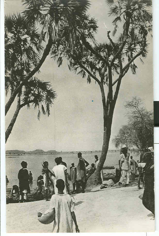 CPA/photo    NIAMEY  Le Niger   Ligne du Hoggar