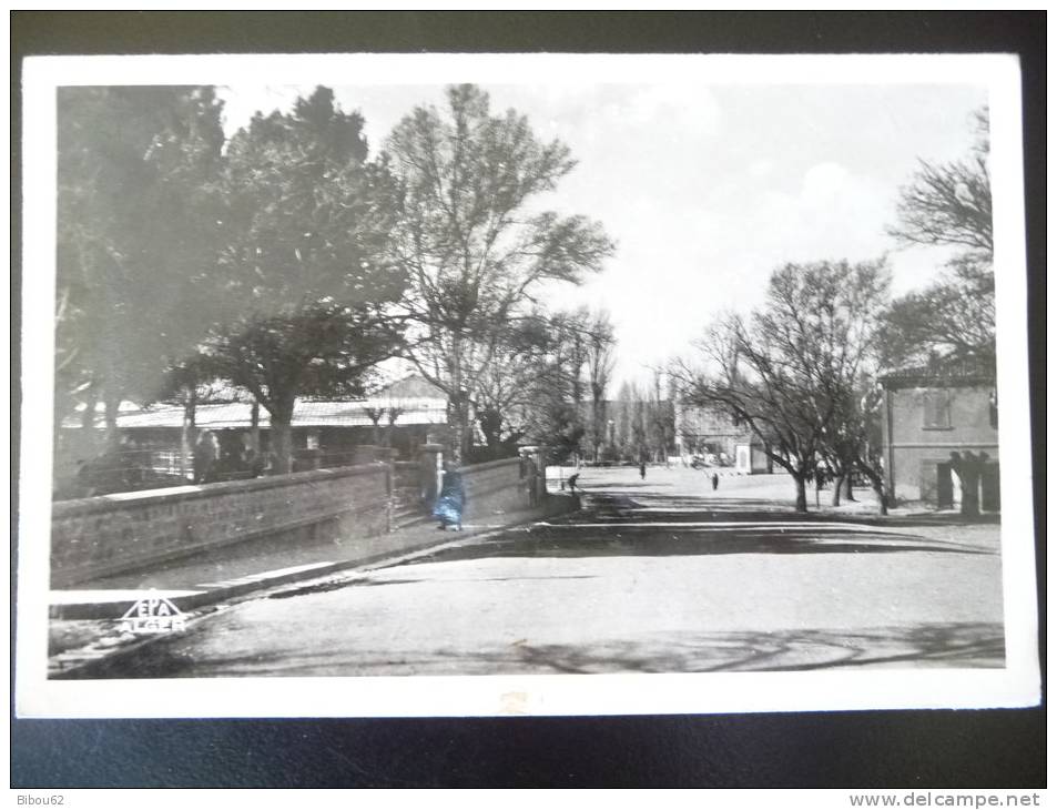 GERYVILLE    N ° 5  MAIRIE   ET  BUREAU  DE  POLICE