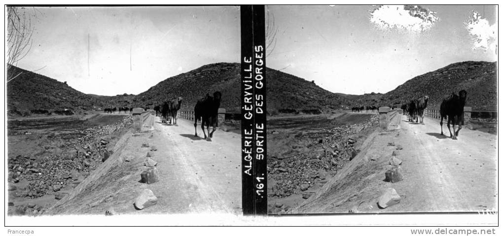 Plaque Photo - PP - 0009 - ALGERIE - GERYVILLE - Sortie des Gorges