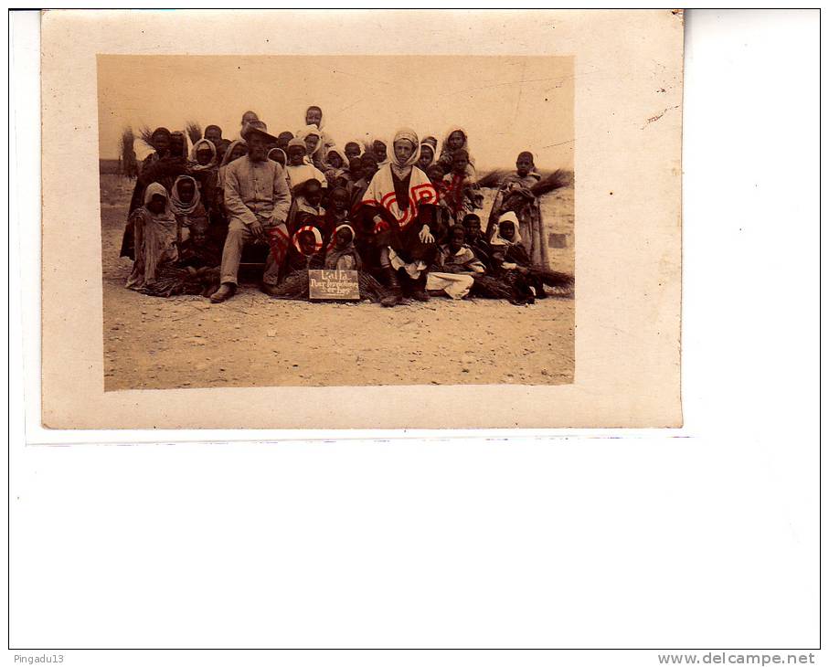 Très rare carte photo Géryville ? Algérie L´Alfa pour les victimes serbes Serbie plante Fabrication papier