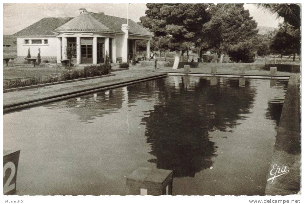 CPSM EL BAYADH ex GERYVILLE (Algérie) - La Piscine