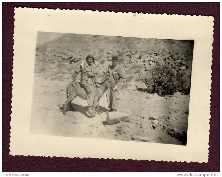 photo GUERRE D´ALGERIE - MILITAIRES - OPERATION DE GERYVILLE - 1956