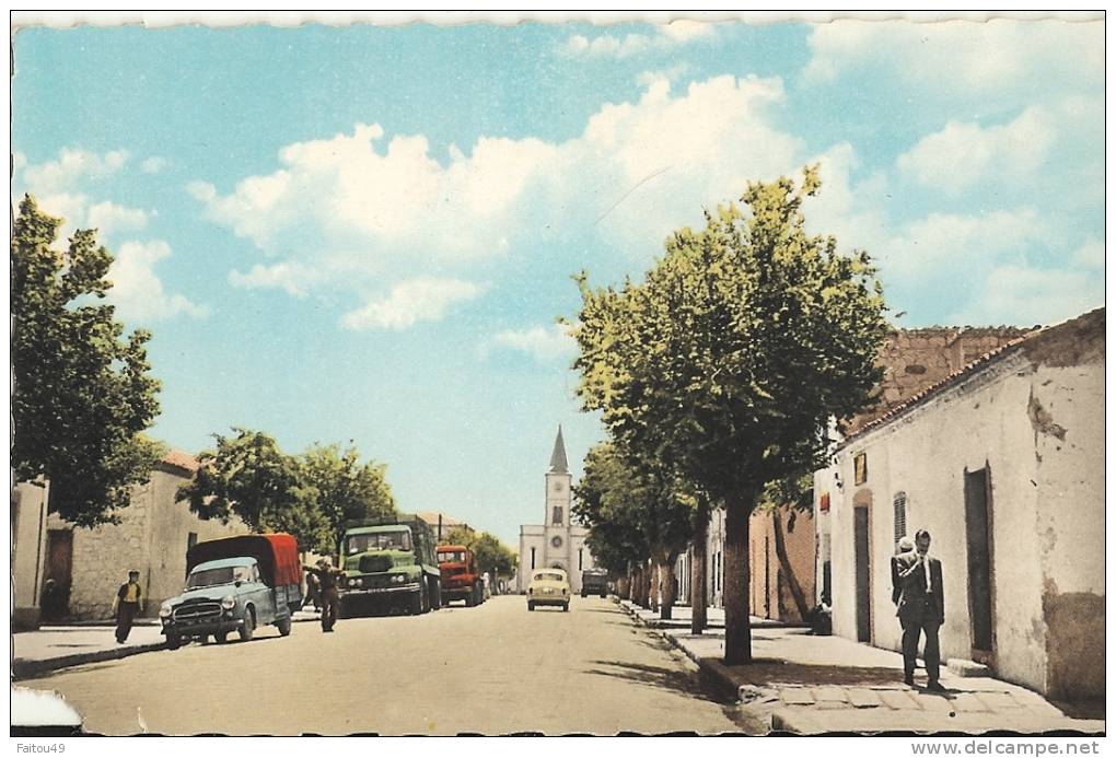 Geryville (Sud-Oranais). l avenue principale (cpsm pm )(att un coin en moin) 70