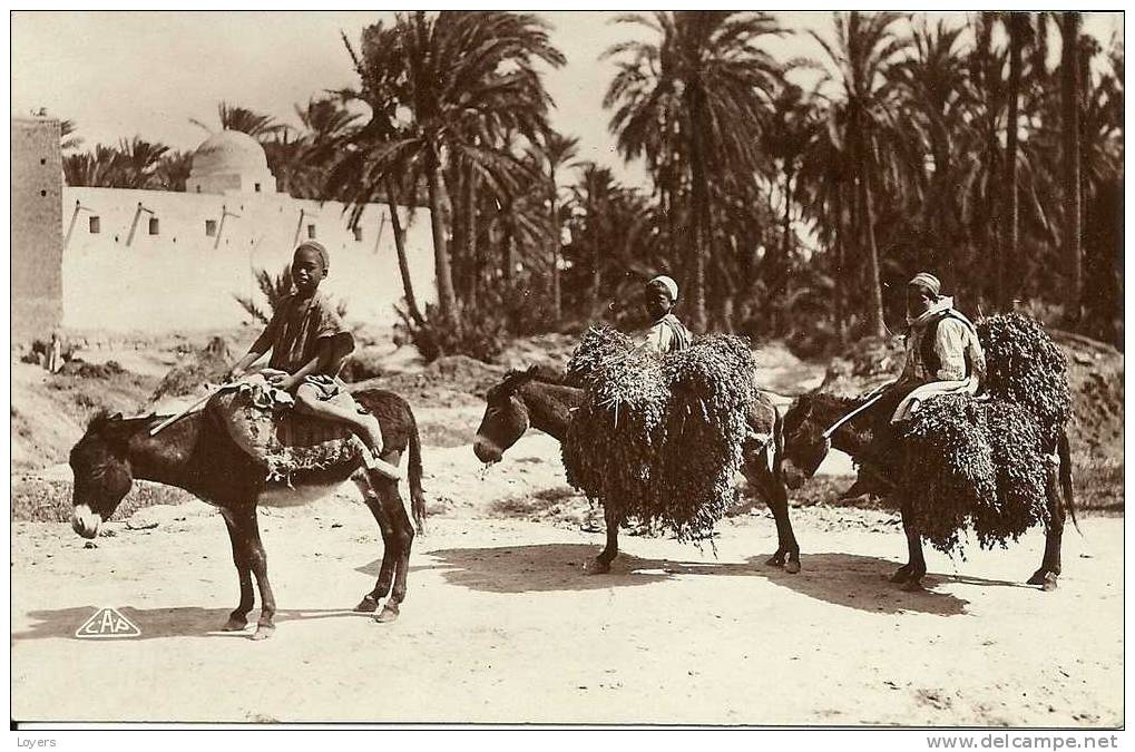 2 CP      Retour à l'Oasis  -  Une caravane.  (écrites de Géryville en 1930)
