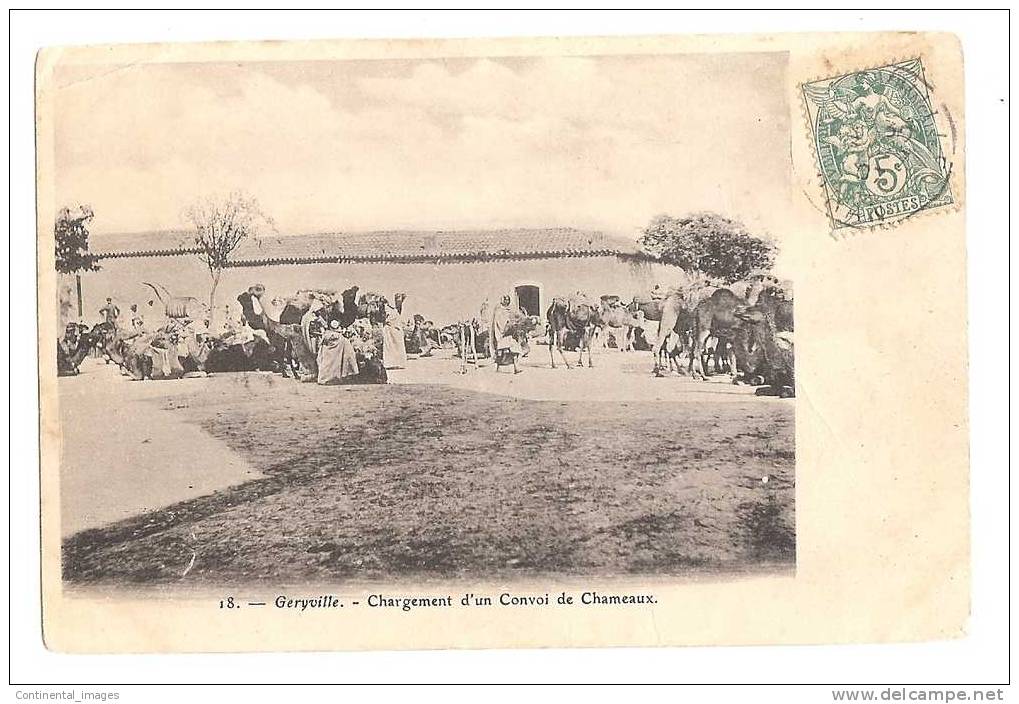 GERYVILLE D'UN CONVOI DE CHAMEAUX