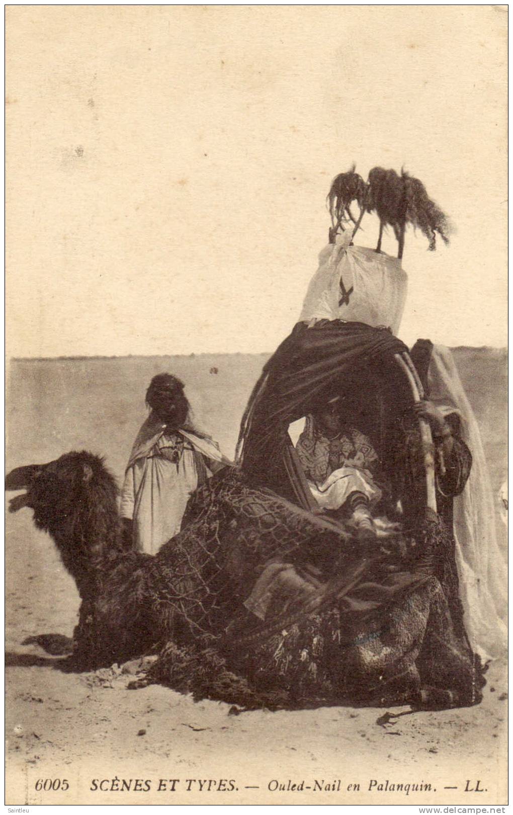 ALGERIE  (Ouled-Nail en Palanquin - carte envoyée de GERYVILLE - REDOUTE - PETIT PRIX