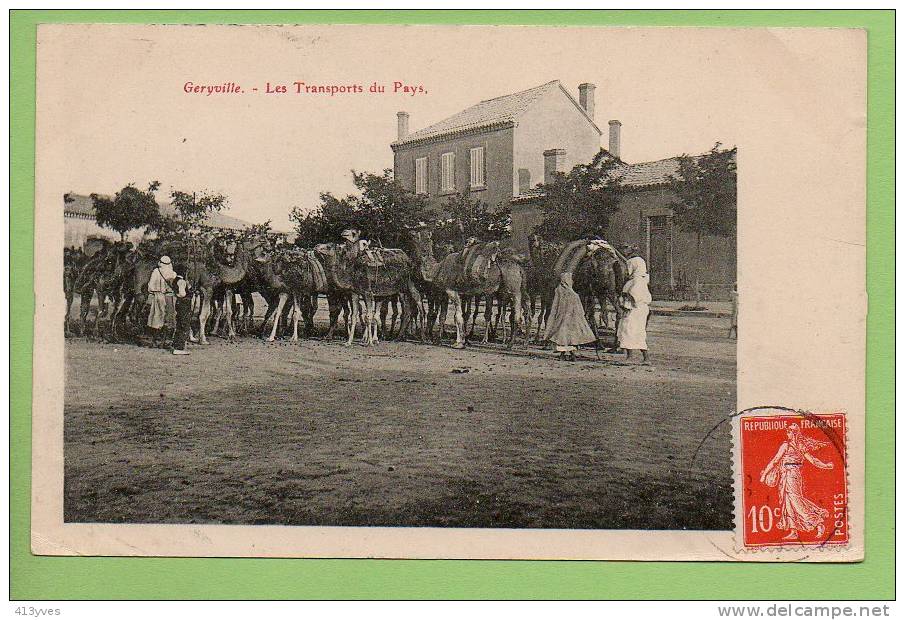 GERYVILLE  Les transports du pays, à dos de chameaux, animée