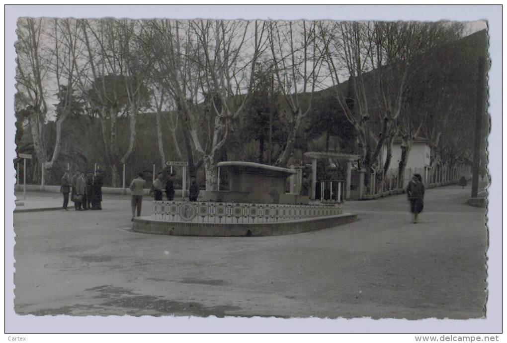 cpsm MILIANA  Le Rond Point