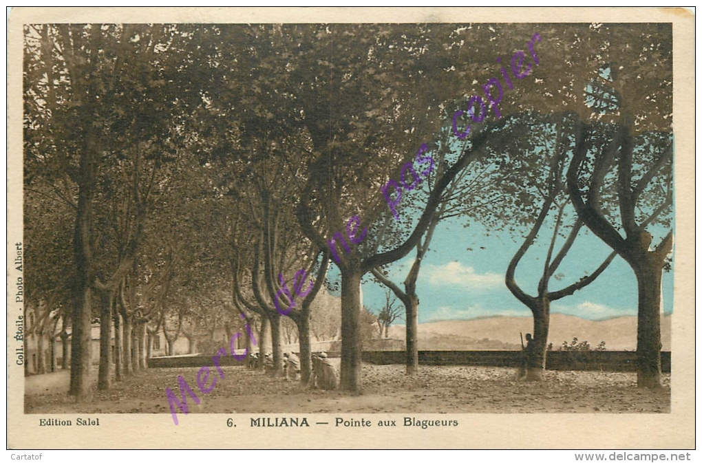 MILIANA .  Pointe aux Blagueurs .  ALGERIE .