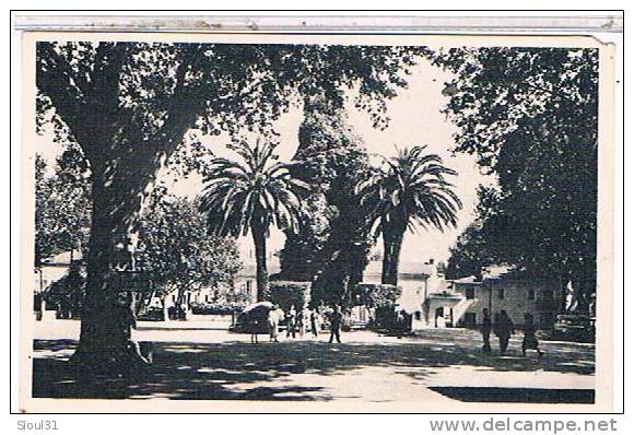 MILIANA  LA PLACE  ET  L  HORLOGE  MONUMENTALE