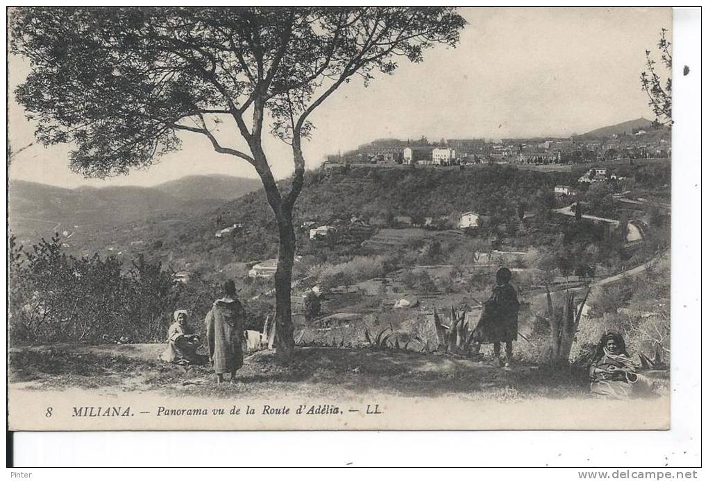 ALGERIE - MILIANA - Panorama vu de la rotue d'Adélia
