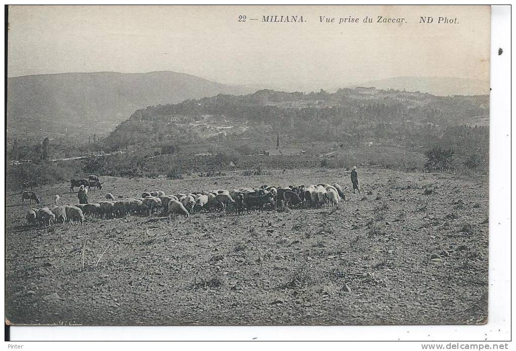 ALGERIE - MILIANA - Vue prise du Zaccar