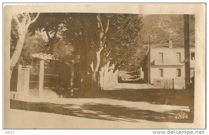ALGERIE MILIANA CARTE PHOTO ENTREE DU JARDIN PUBLIC