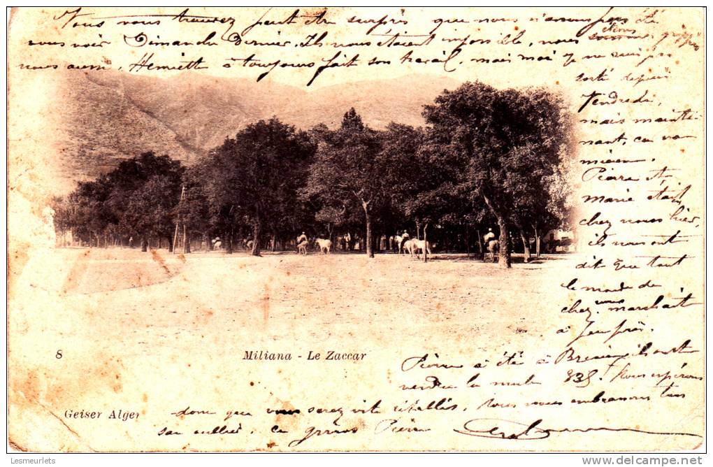 cpa algerie miliana le zaccar n°8 geiser alger
