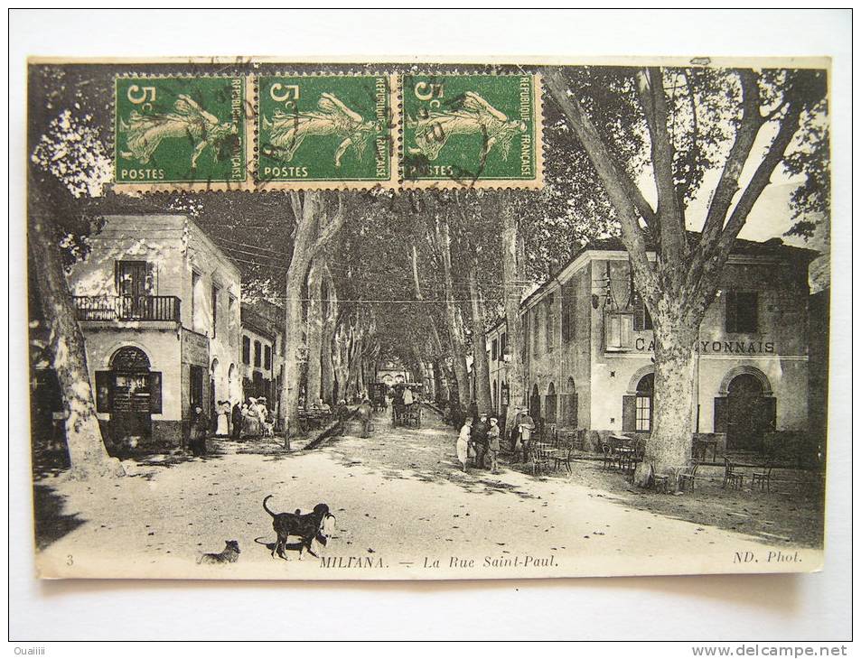 cpa, très belle vue animée, Miliana, la rue Saint Paul