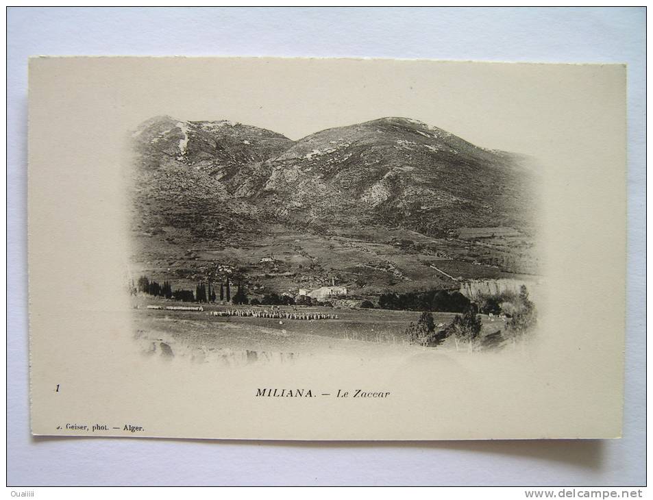 cpa, très belle vue, Miliana, le Zaccar