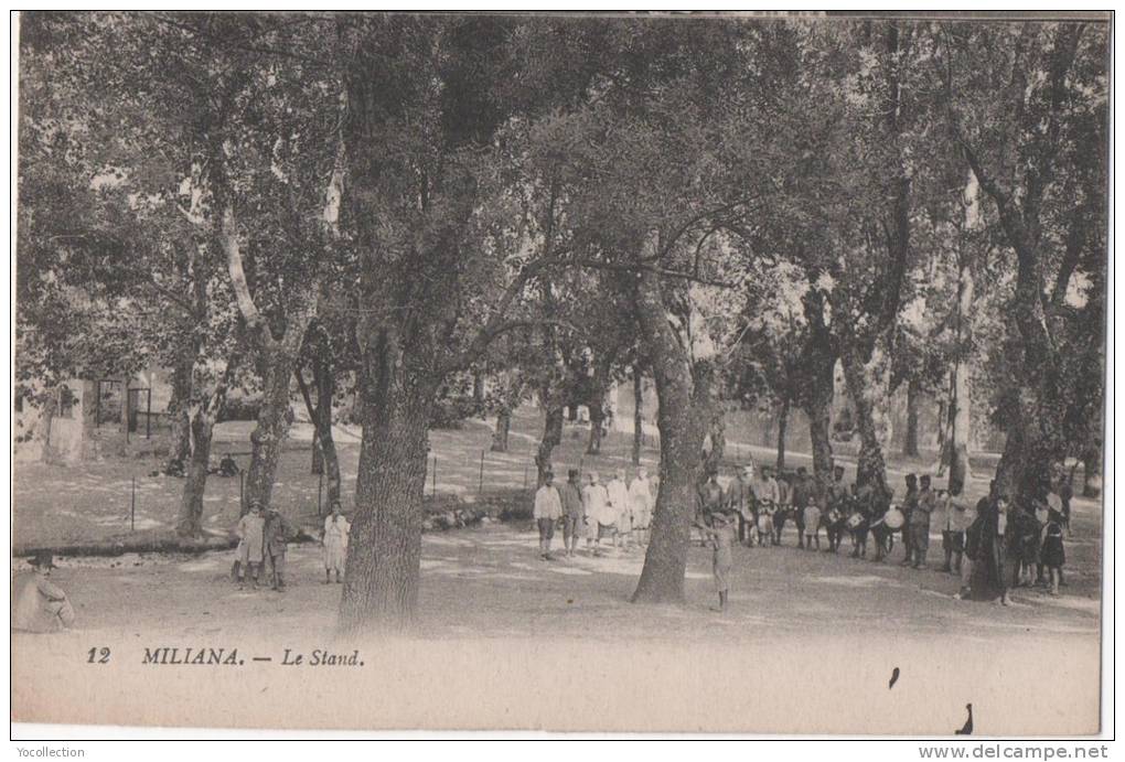 ALGERIE MILIANA LE STAND