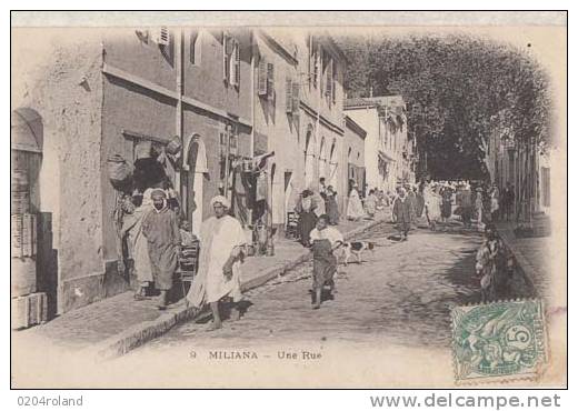 Algérie - Miliana - Une Rue   Achat Immédiat