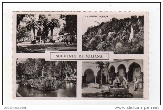 fev13  59560  miliana  souvenir N° 37