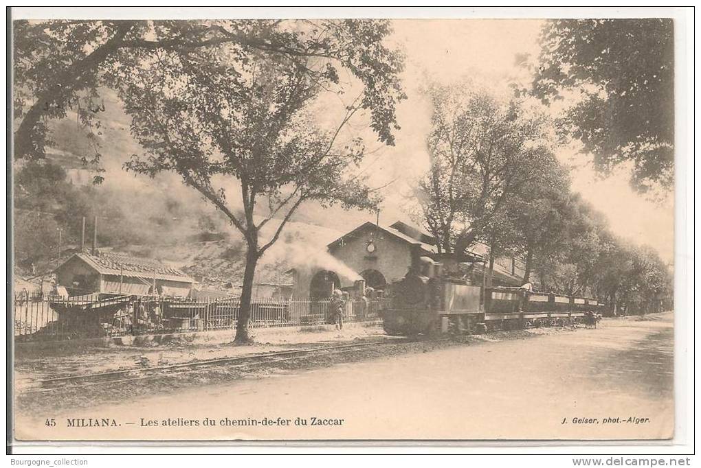 Miliana - 45 - Les Ateliers du Chemin de Fer du Zaccar  -  Train - Beau Plan -  CPA°